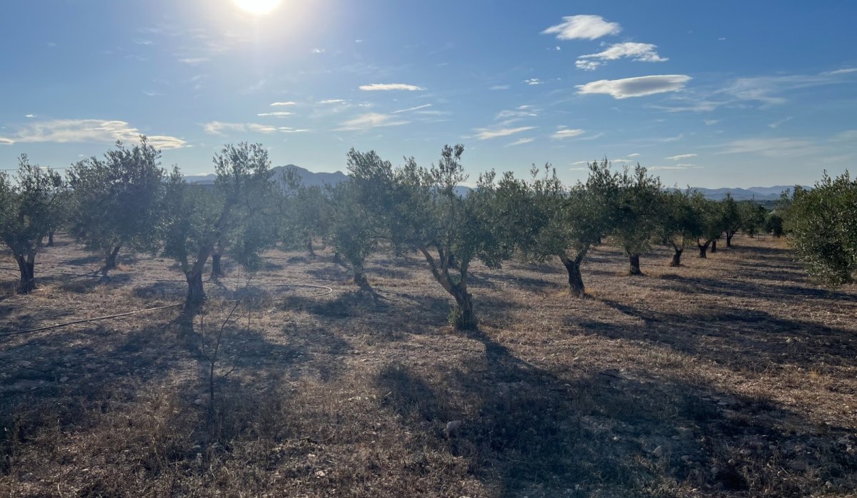 Resale - Villa - Sax