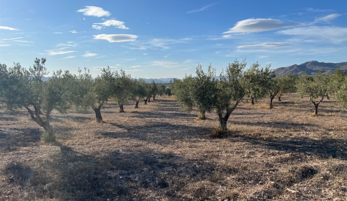 Resale - Villa - Sax