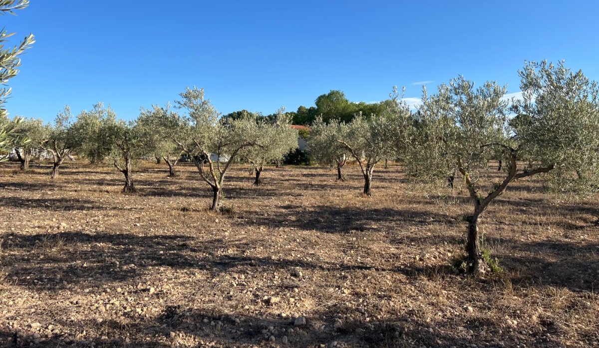 Resale - Villa - Sax