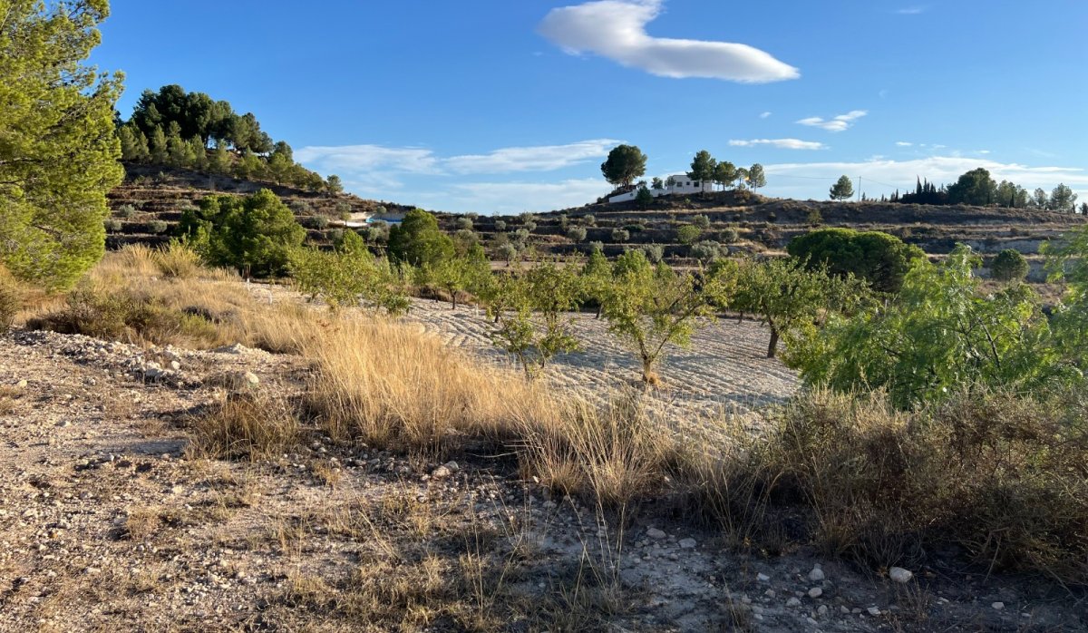 Resale - Villa - Sax