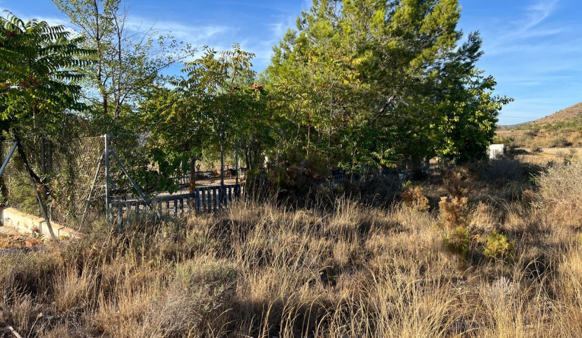 Resale - Villa - Sax