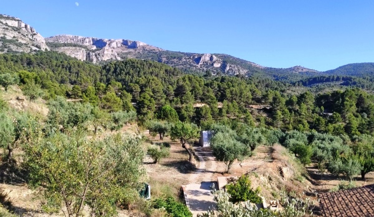 Revente - Villa - Benasau