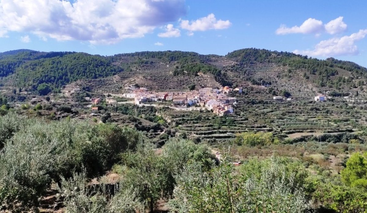 Revente - Villa - Benasau