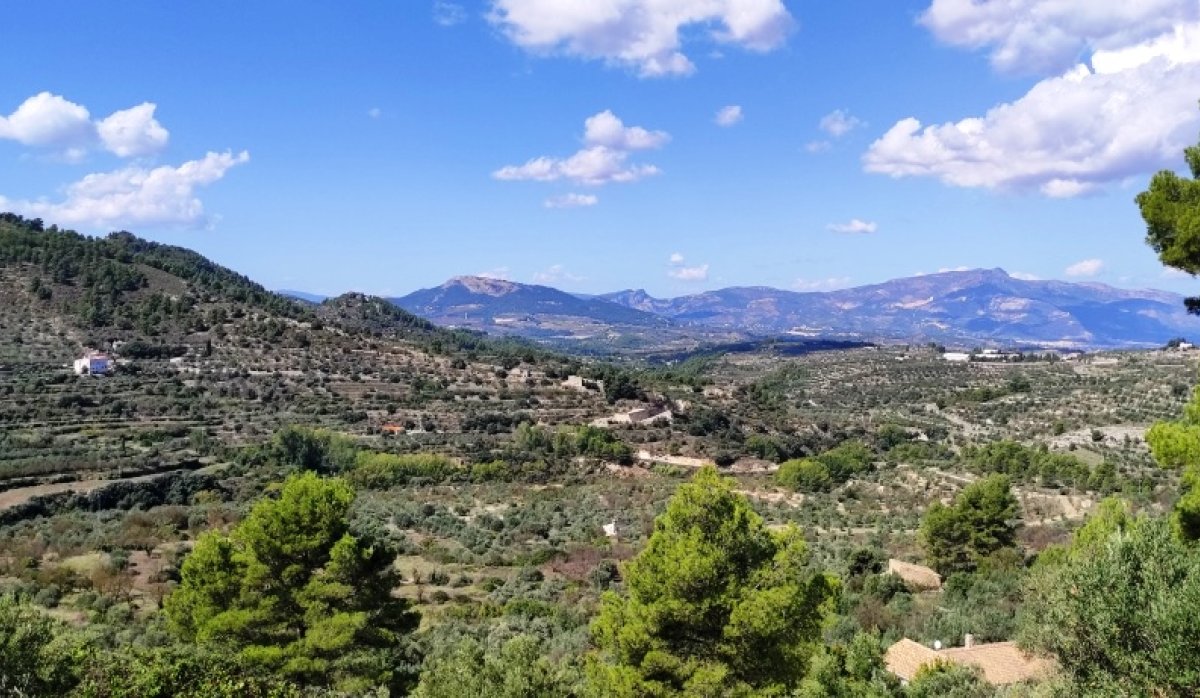 Revente - Villa - Benasau