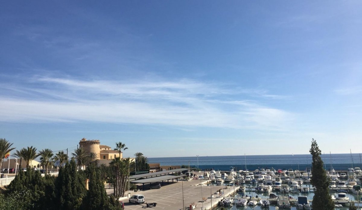 Nouvelle construction - Villa - Pilar de la Horadada - Las Higuericas