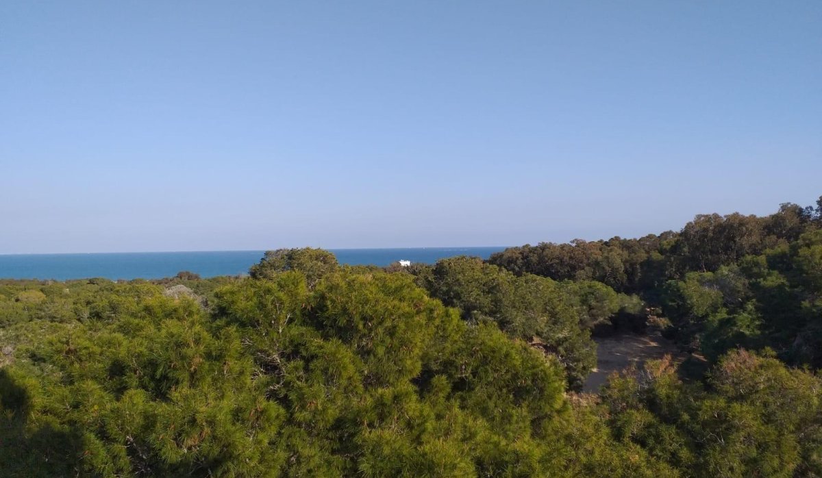 Nouvelle construction - Ground floor apartment - Guardamar del Segura - Pueblo