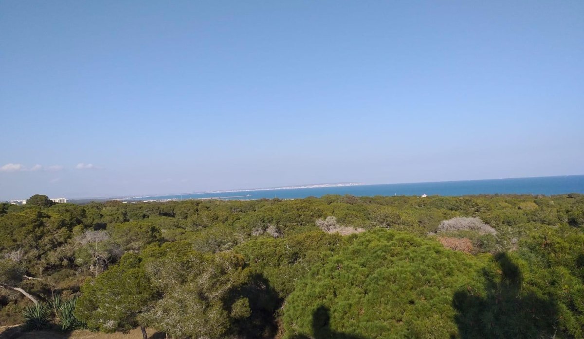 Nouvelle construction - Appartement - Guardamar del Segura - Pueblo