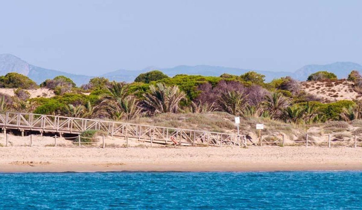 Nouvelle construction - Attique - Guardamar del Segura - Pueblo