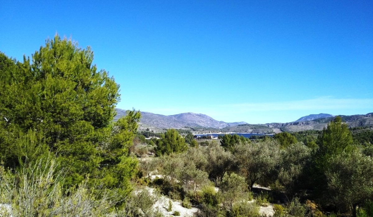 Reventa - Parcela / Terreno - Benimarfull