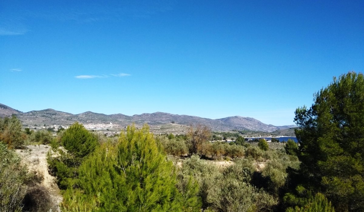 Reventa - Parcela / Terreno - Benimarfull