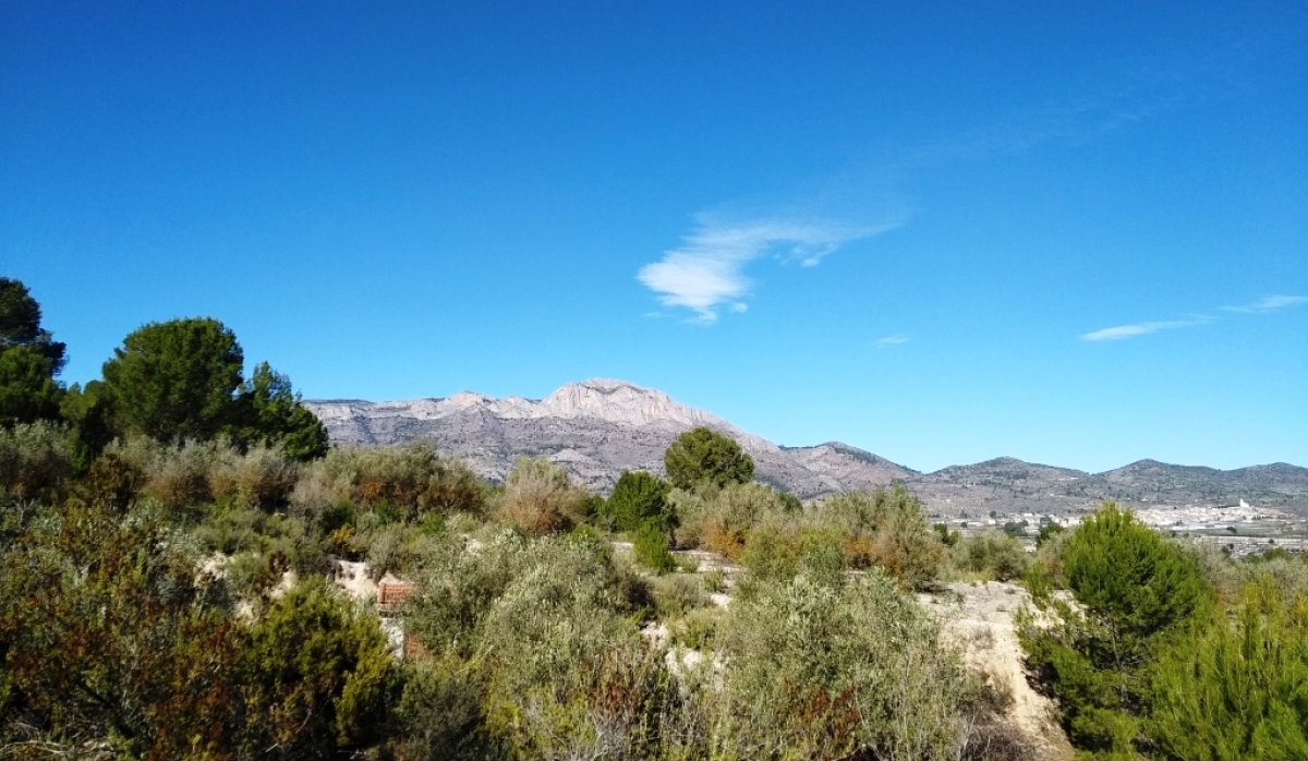 Reventa - Parcela / Terreno - Benimarfull