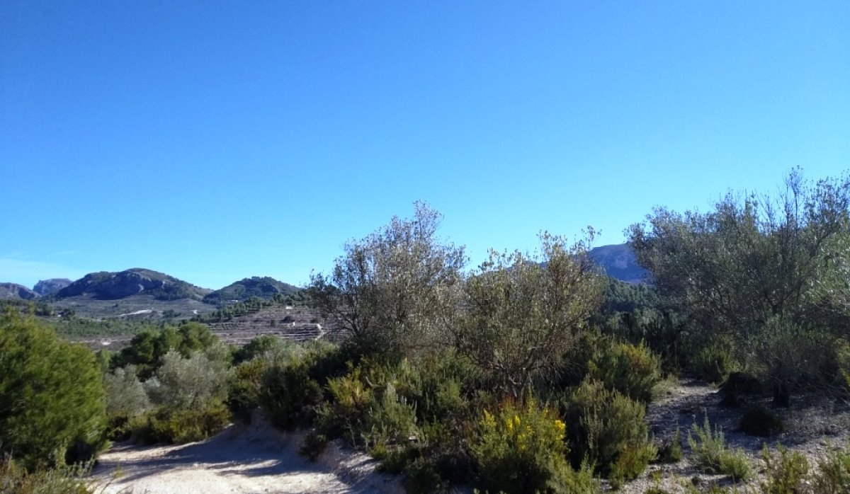 Reventa - Parcela / Terreno - Benimarfull