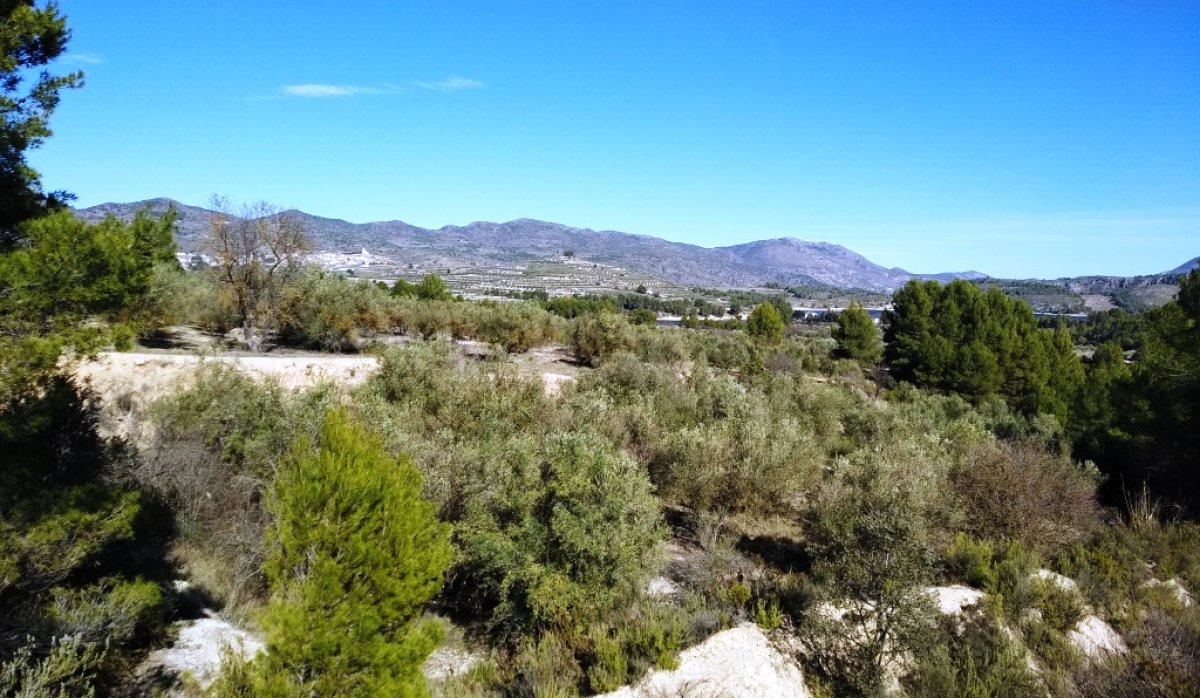 Reventa - Parcela / Terreno - Benimarfull