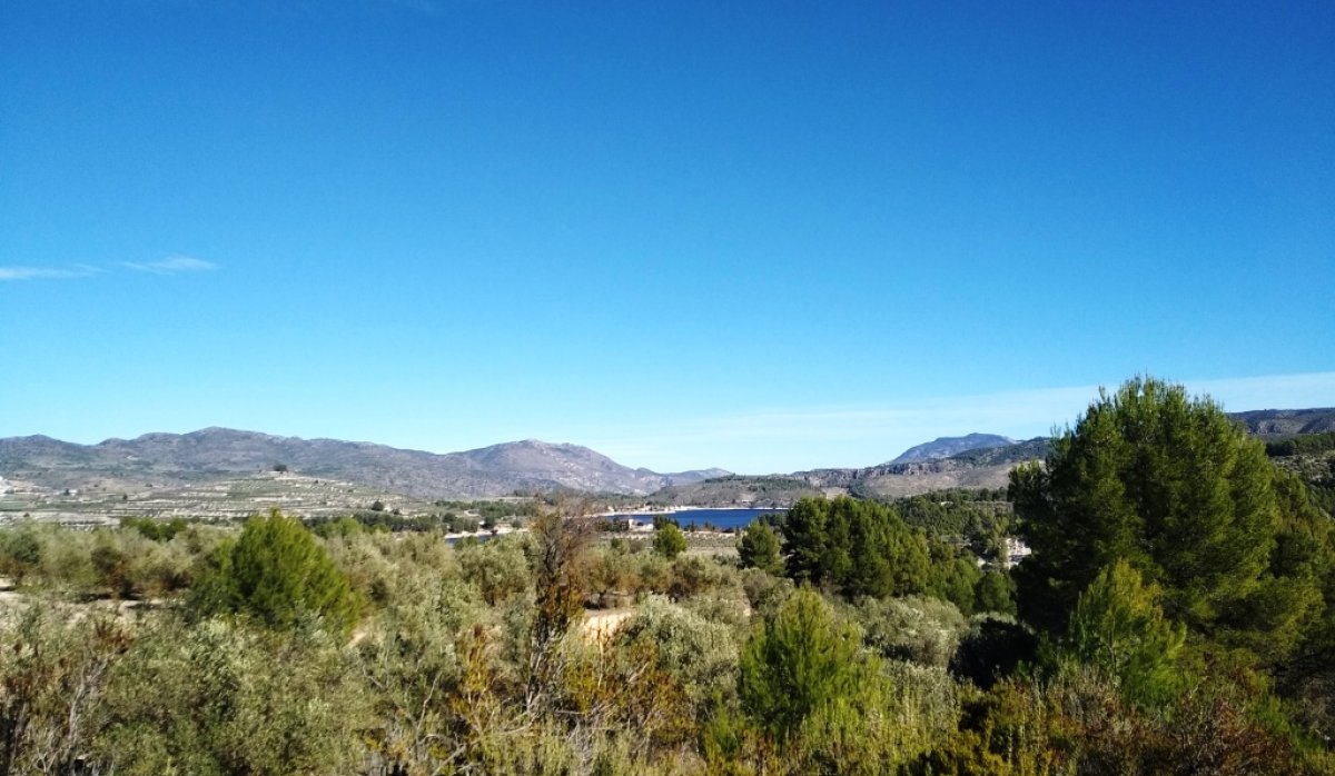 Reventa - Parcela / Terreno - Benimarfull