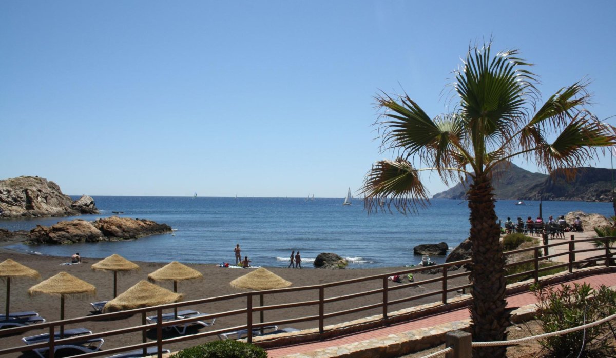 Nouvelle construction - Villa - La Union - centro