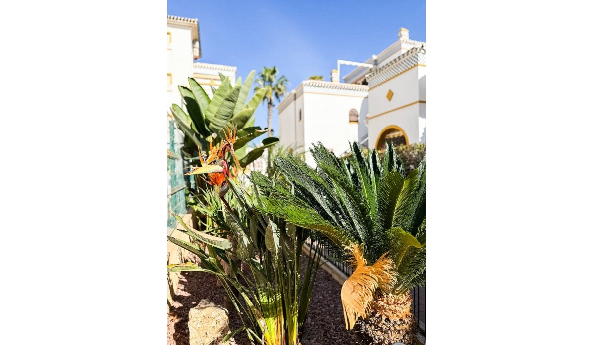 Reventa - Apartamento / piso - Torrevieja - La Mata