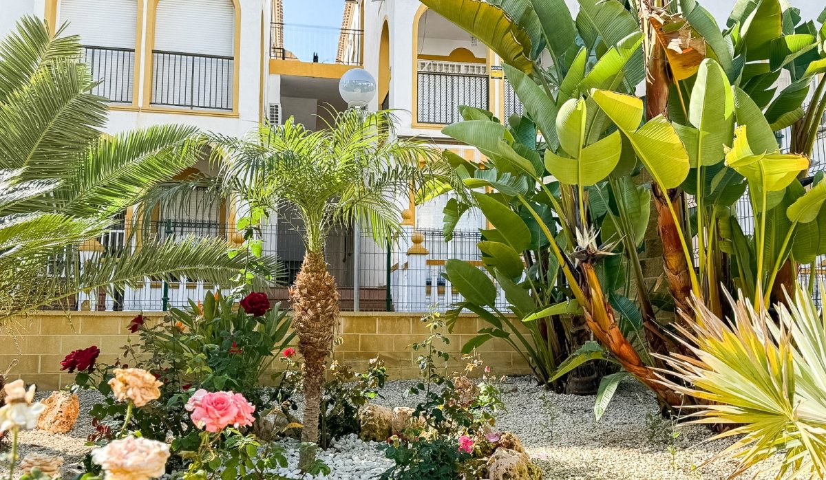 Reventa - Apartamento / piso - Torrevieja - La Mata