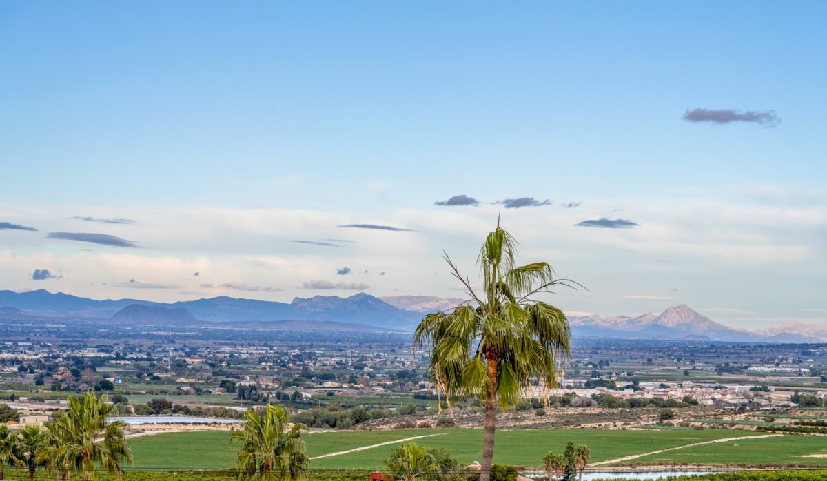 Revente - Maison de ville - Algorfa - Lomas De La Juliana