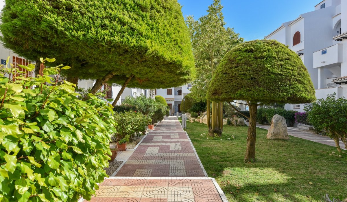 Resale - Apartment / flat - Ciudad quesada - Ciudad Quesada