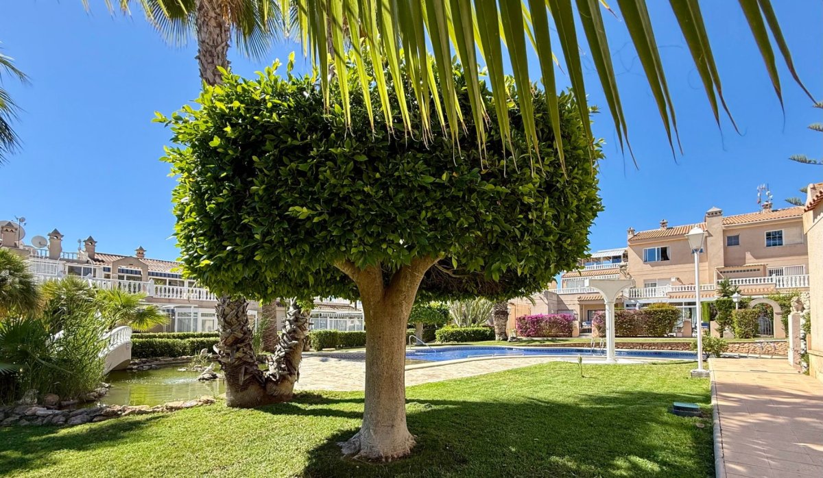 Resale - Apartment / flat - Orihuela Costa - Playa Flamenca
