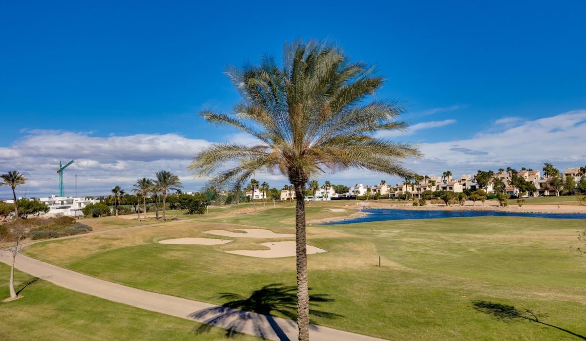 Nouvelle construction - Villa - Pilar de la Horadada - Roda Golf