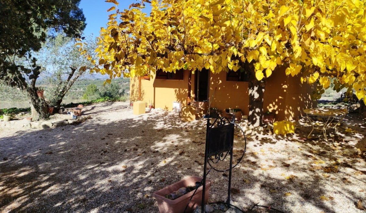 Reventa - Villa - Benilloba