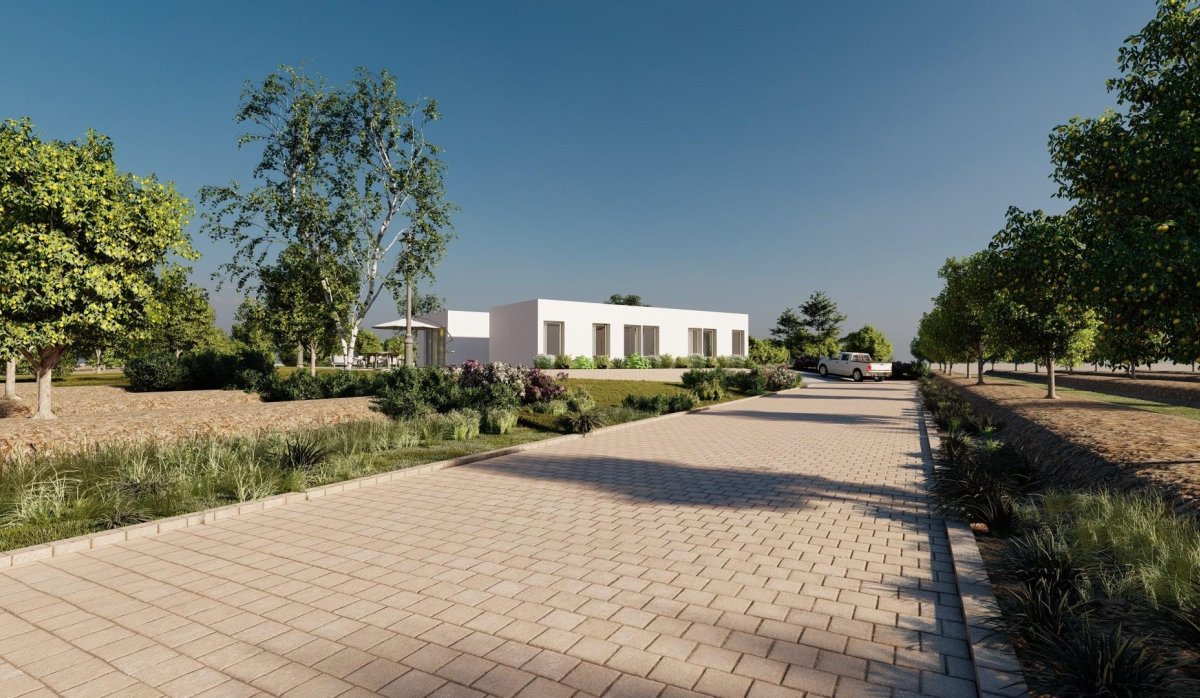 Nouvelle construction - Villa - Benejúzar - alta