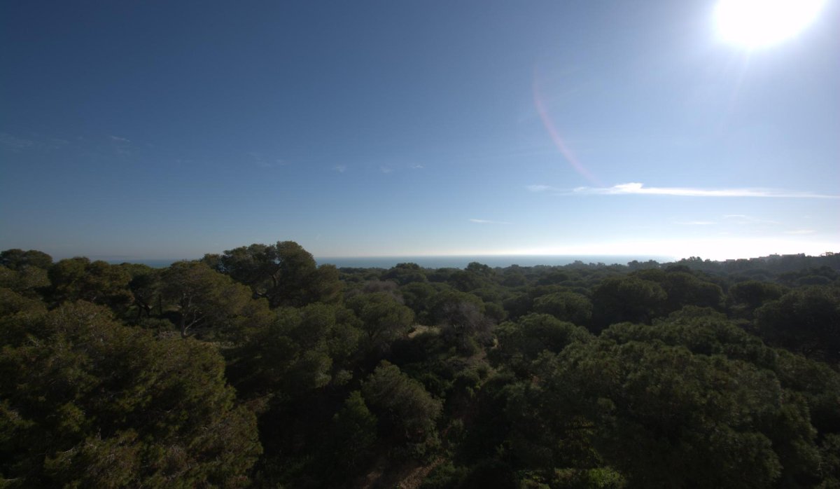 Nouvelle construction - Appartement - Guardamar del Segura - Pueblo