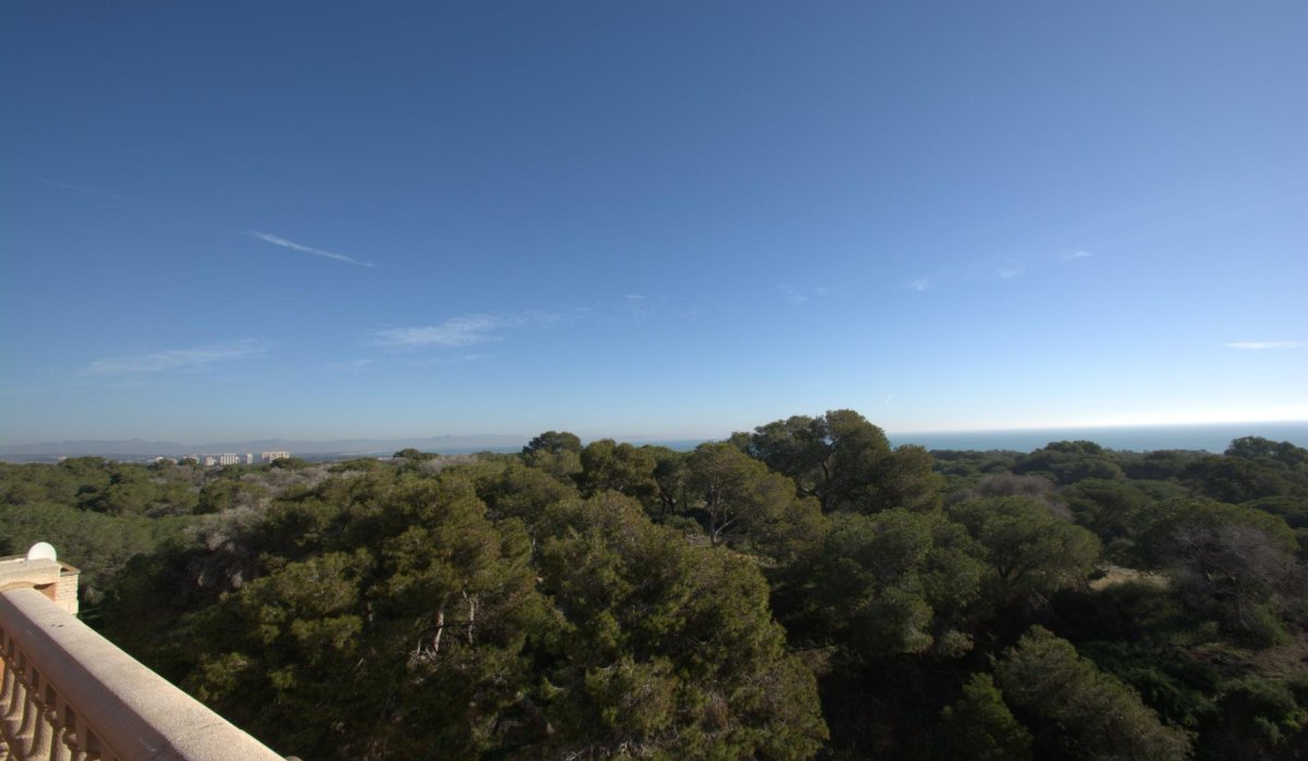 Nouvelle construction - Attique - Guardamar del Segura - Pueblo