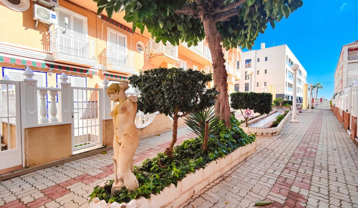 Reventa - Apartamento / piso - Torrevieja - La Mata