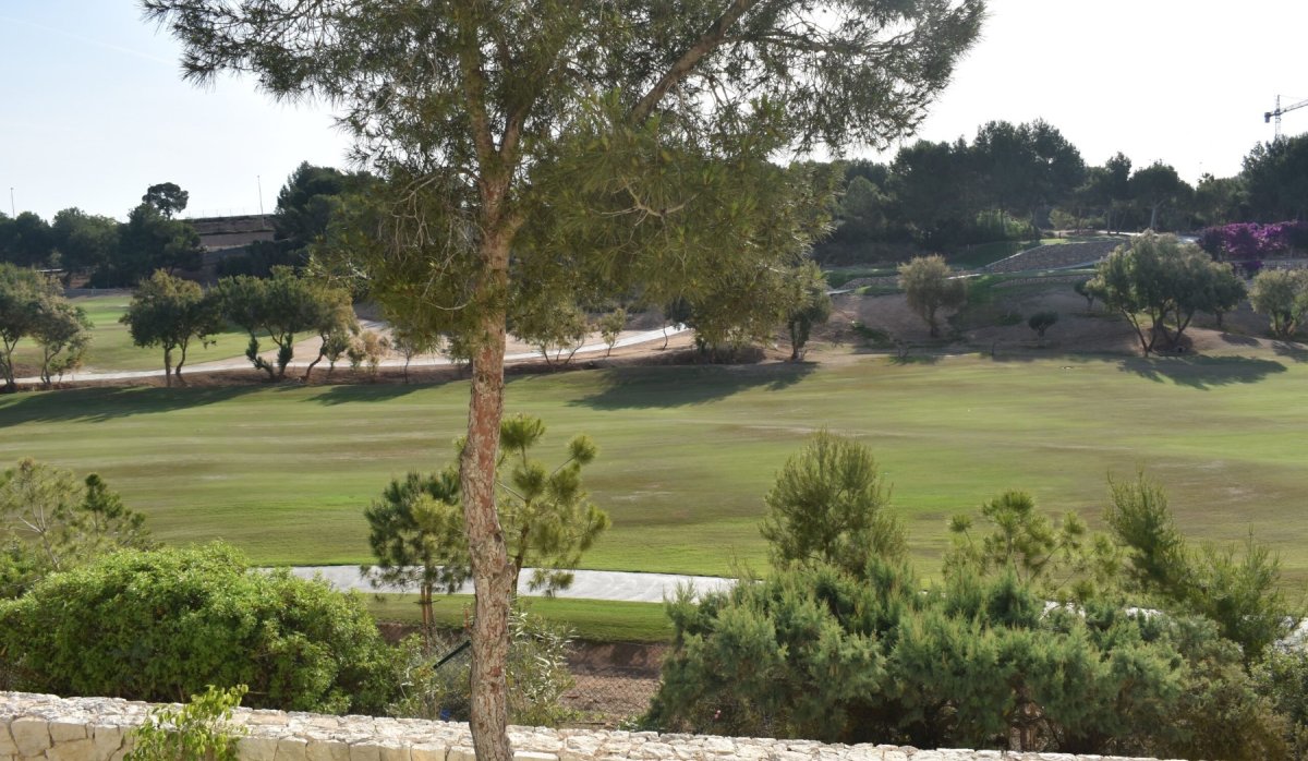 Location  - Appartement - Pilar de la Horadada - Lo Romero Golf
