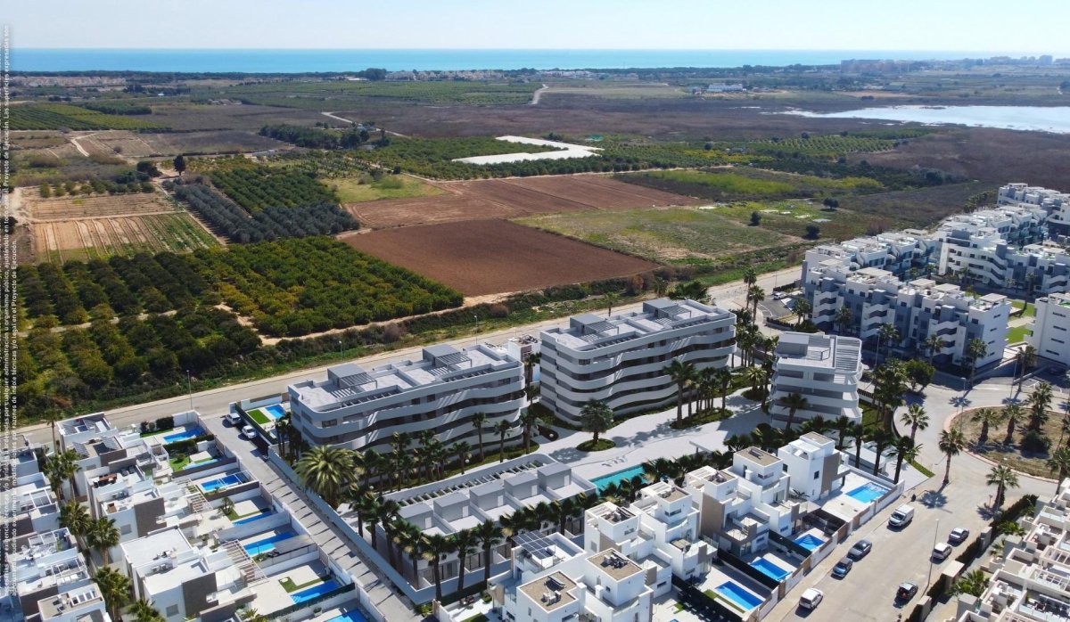 Obra nueva - Villa - Guardamar del Segura - El Raso