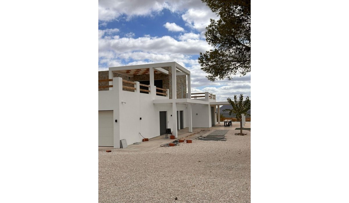 Obra nueva - Villa - Pinoso - Casas Pastor