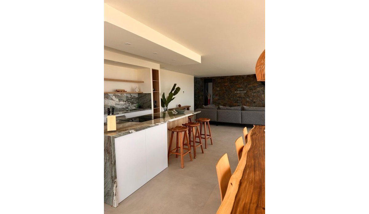Obra nueva - Villa - Pinoso - Casas Pastor