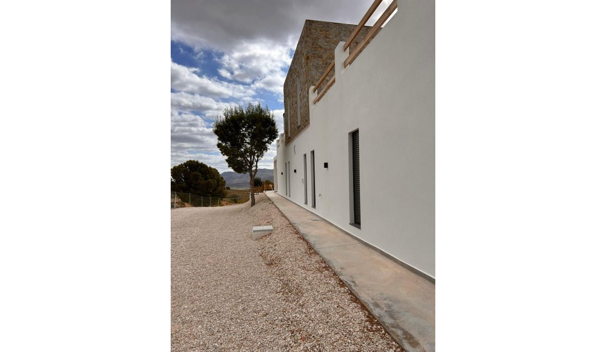 Obra nueva - Villa - Pinoso - Casas Pastor
