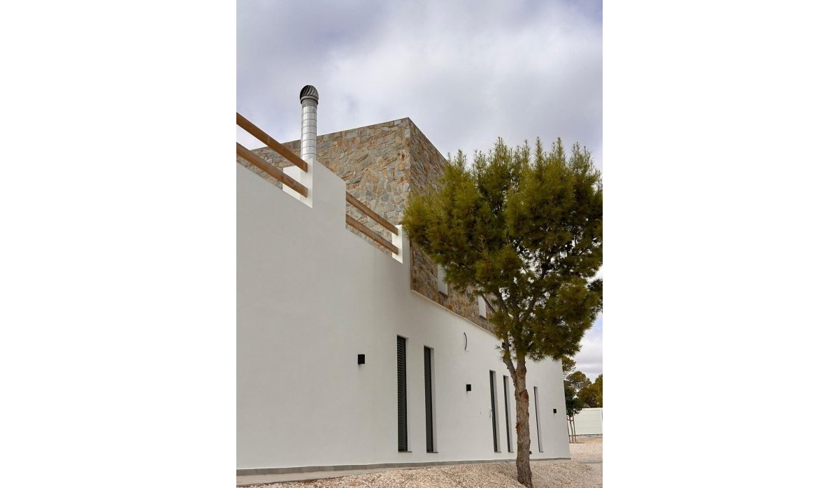 Obra nueva - Villa - Pinoso - Casas Pastor