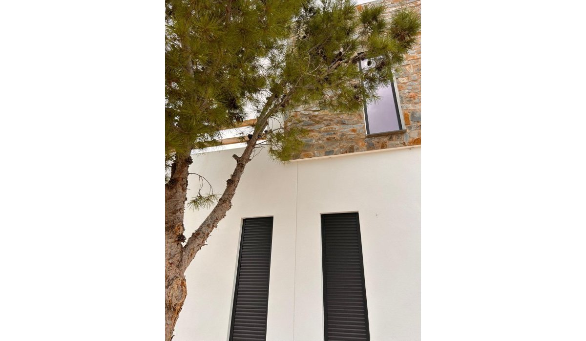 Obra nueva - Villa - Pinoso - Casas Pastor