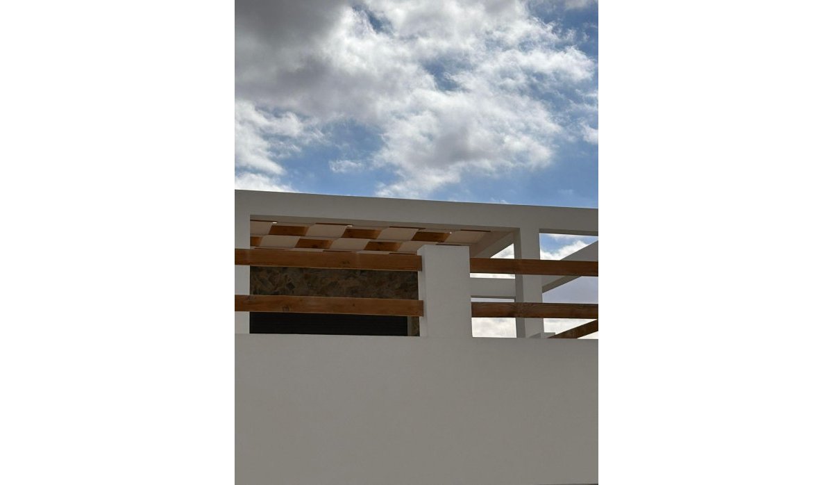 Obra nueva - Villa - Pinoso - Casas Pastor