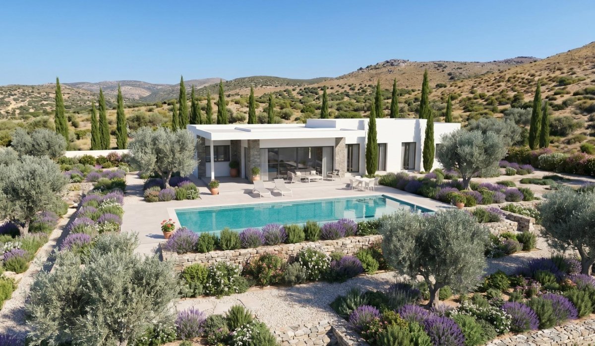 Obra nueva - Villa - Pinoso - Casas Pastor