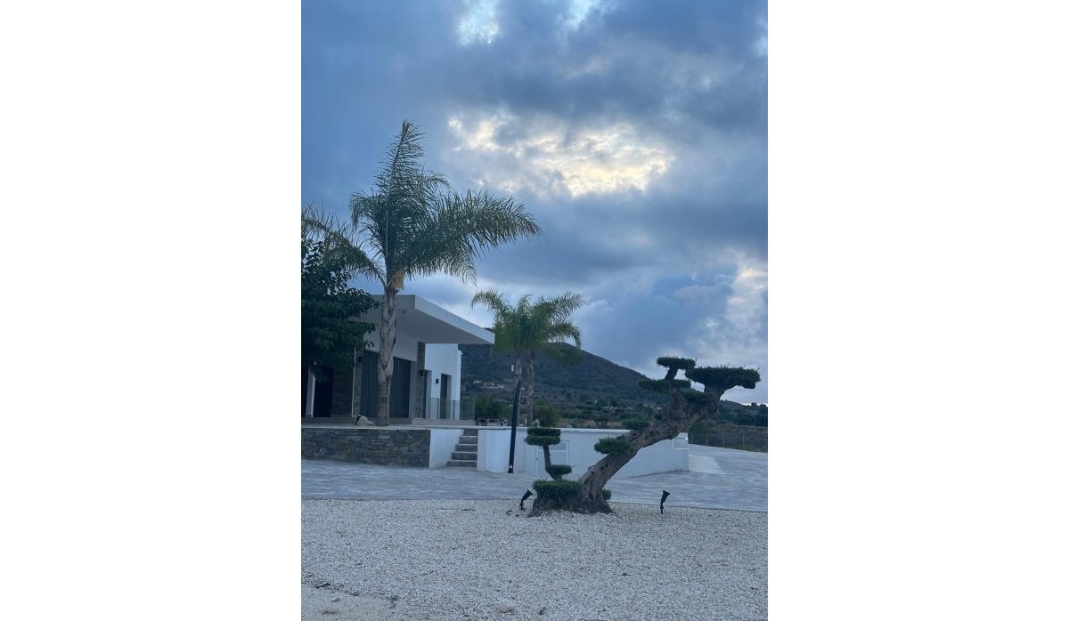 Obra nueva - Villa - Pinoso - Casas Pastor