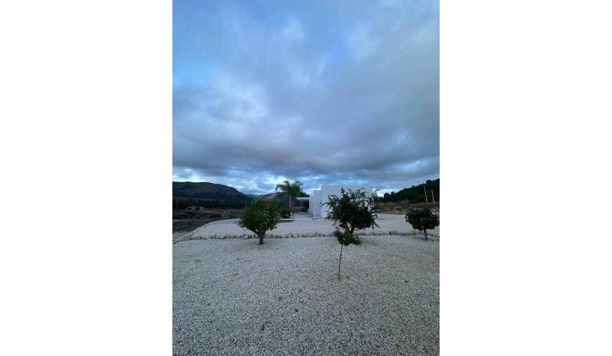Obra nueva - Villa - Pinoso - Casas Pastor