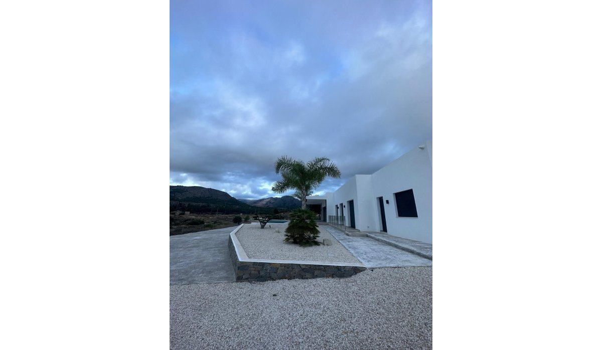 Obra nueva - Villa - Pinoso - Casas Pastor
