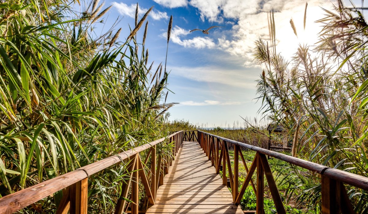 Reventa - Villa - Guardamar del Segura - El Raso