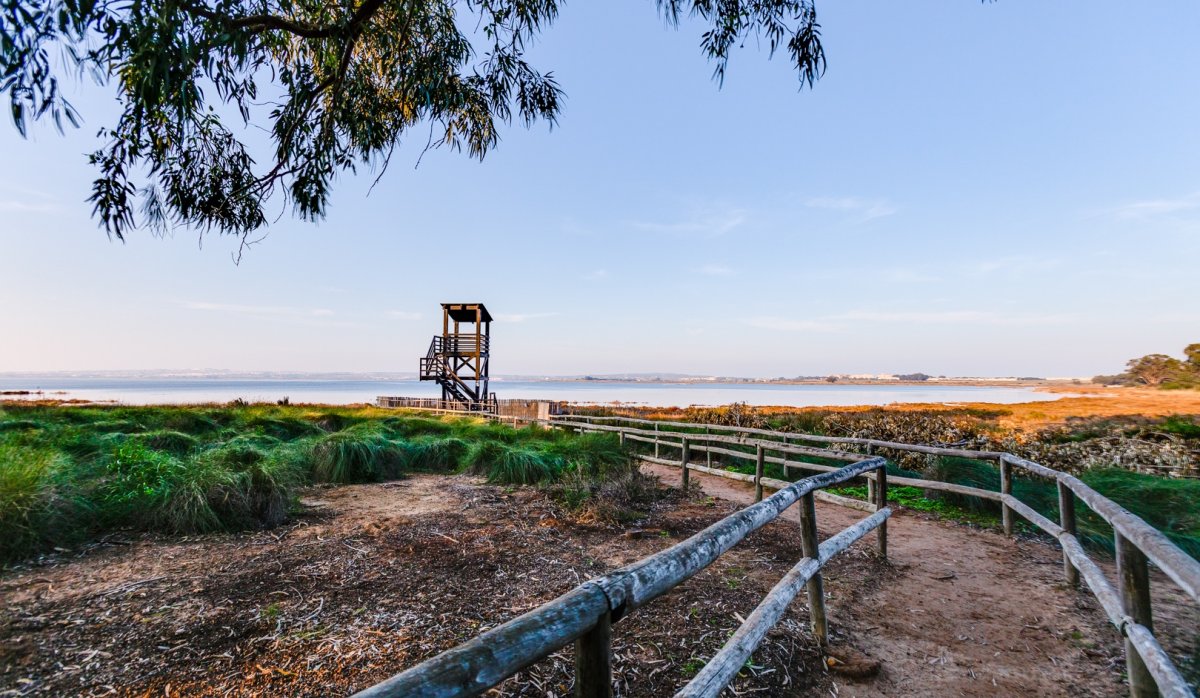 Reventa - Villa - Guardamar del Segura - El Raso