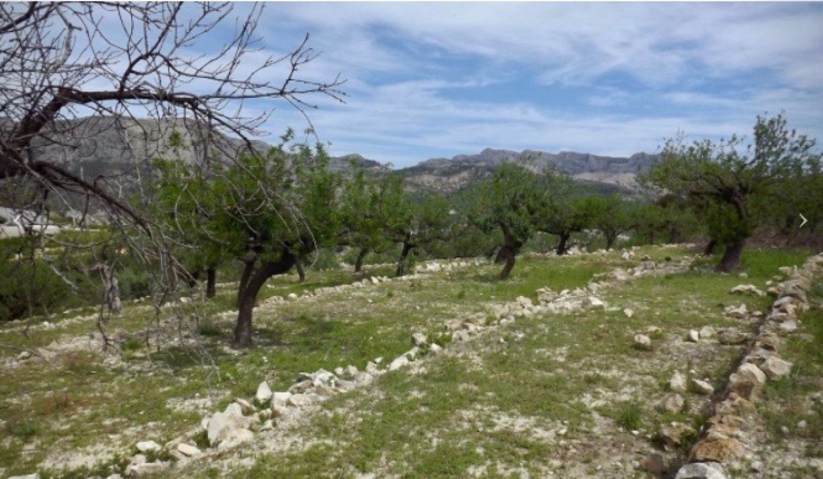Reventa - Parcela / Terreno - Callosa d'en Sarrià - Callosa d En Sarrià