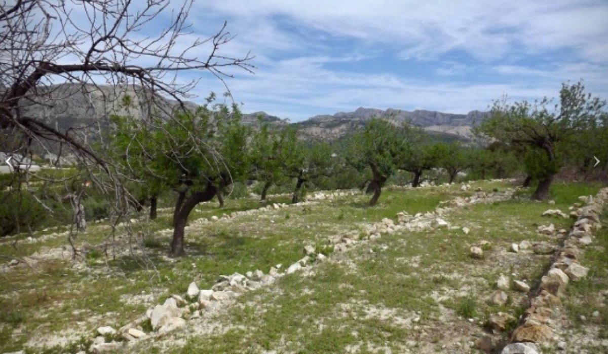 Reventa - Parcela / Terreno - Callosa d'en Sarrià - Callosa d En Sarrià