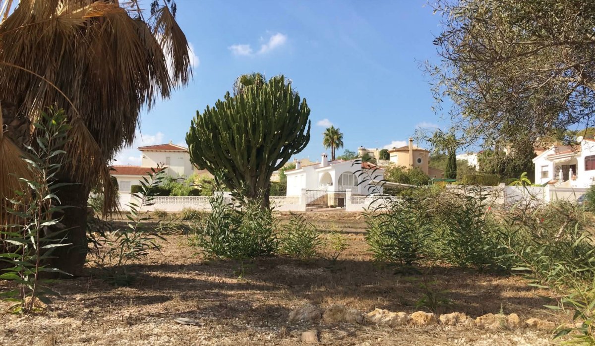 Revente - Maison de ville - Ciudad quesada - Central Quesada
