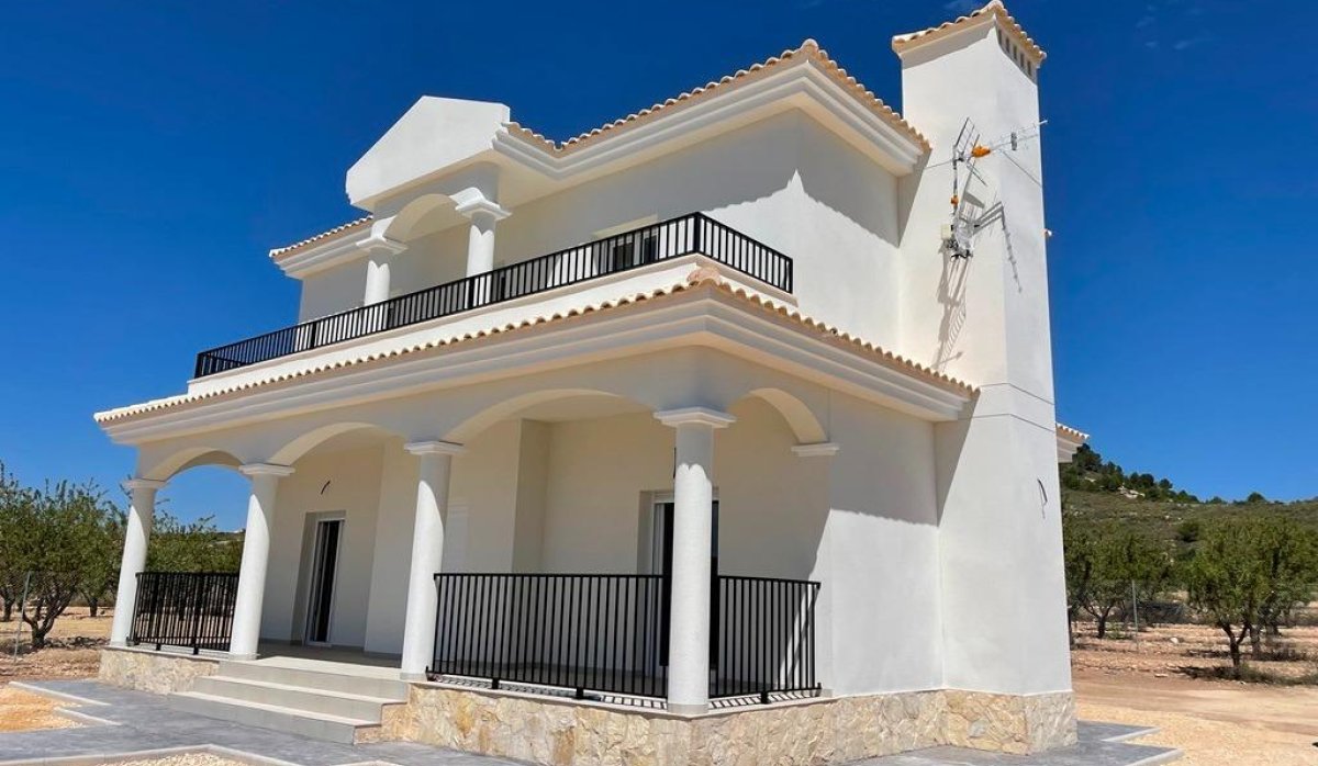 New Build - Villa - Pinoso - Camino Del Prado