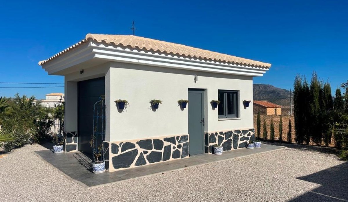 Nouvelle construction - Villa - Pinoso - Camino Del Prado