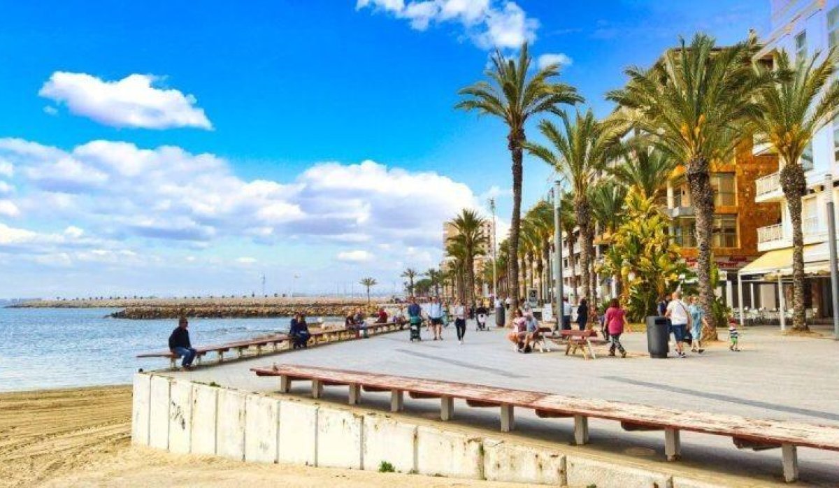 Obra nueva - Ático - Torrevieja - Playa de El Cura